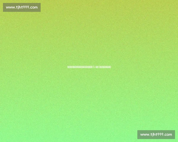 雷暴侵袭世俱杯！切尔西本菲卡鏖战近 5 小时 加时三球逆转晋级